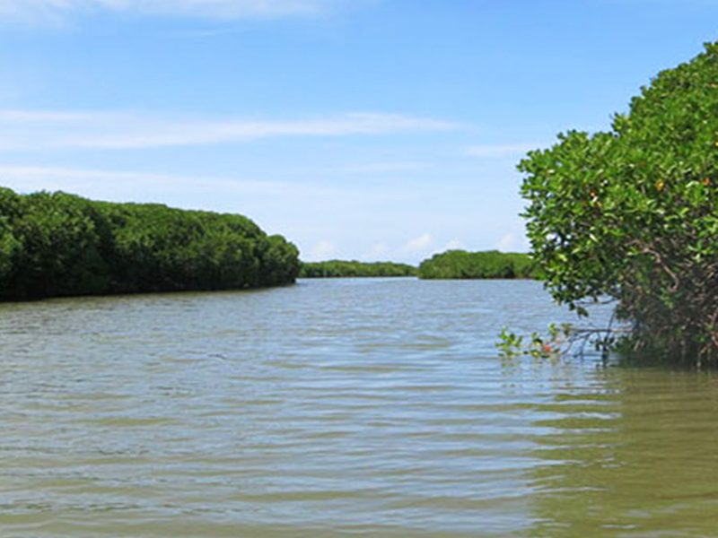 Negombo Lagoon srilanka