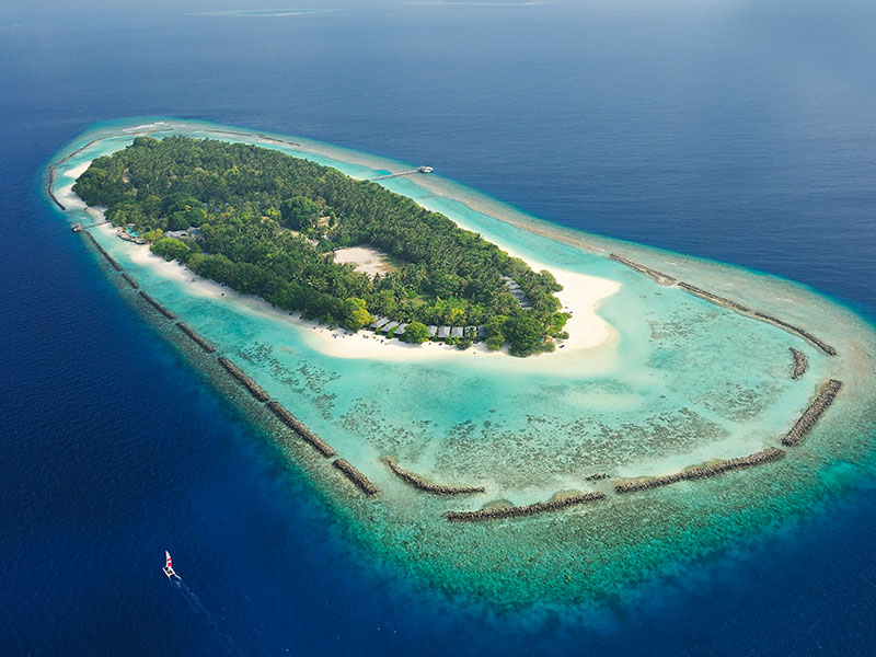 royal-island-7 royal-island-7