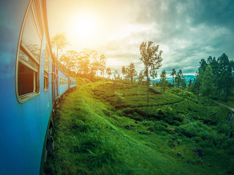 sri-lanka-transport-train-hill-country-tea